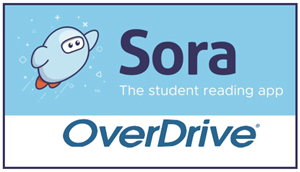 Sora EBook Checkout